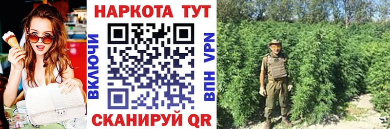 Как найти наркотики Ясногорск Псилоцибиновые грибы Каннабис Кокаин A-PVP