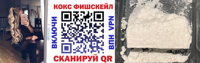 COCAIN Fish Scale  купить  сайты  Ясногорск 