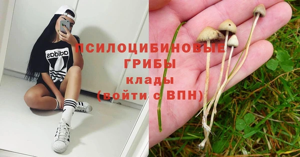 дмт Баксан