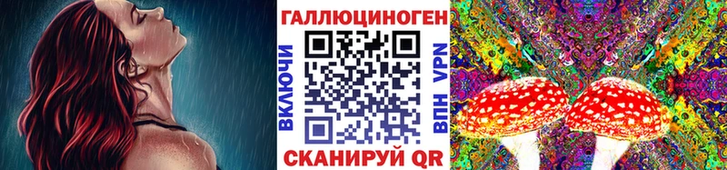 дарнет шоп Ясногорск Галлюциногенные грибы Psilocybe