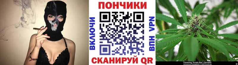 мега   Ясногорск  МАРИХУАНА OG Kush  где можно купить  